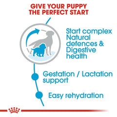 Royal Canin Medium Starter Dry Dog Food.