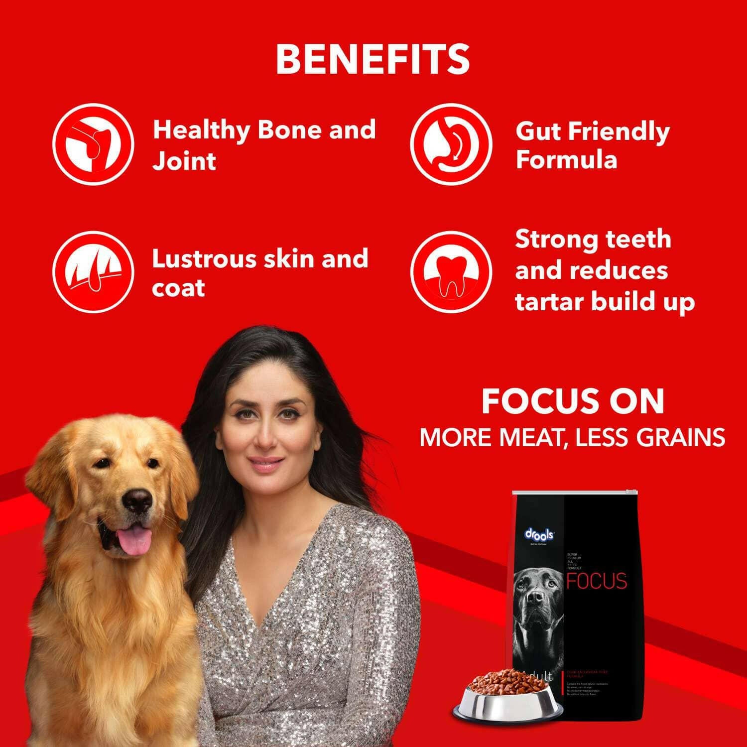 Drools Focus Adult Dog Food – Premium Dry Food for Adult Dogs.