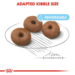 Royal Canin Giant Starter Dog Food.