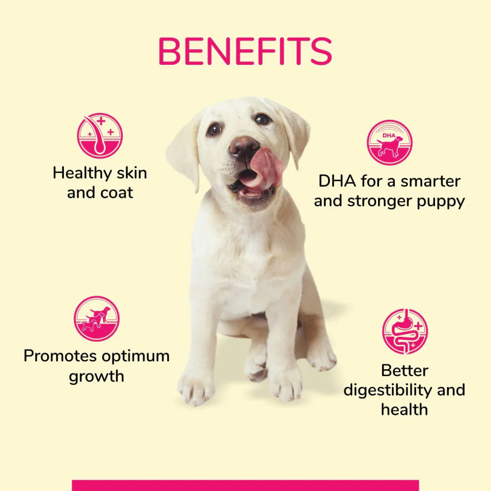 Canine Creek Wet Food for Puppy Grain Free.