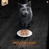 Sheba Deluxe Chicken Breast in Gravy Wet Cat Food.