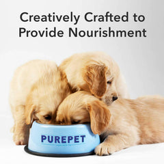 Purepet Gravy Chunks Wet Dog Food – Chicken & Vegetable Flavour, 70 g.