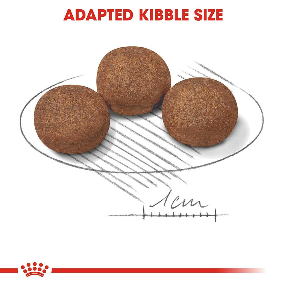 Royal Canin Medium Puppy Dog Food.