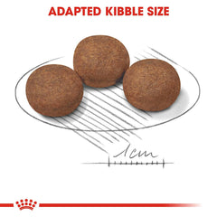 Royal Canin Medium Puppy Dog Food.