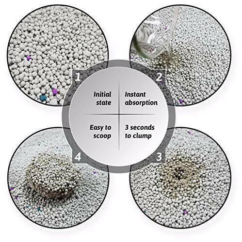 Pet Pattern Smart Bentonite Cat Litter.
