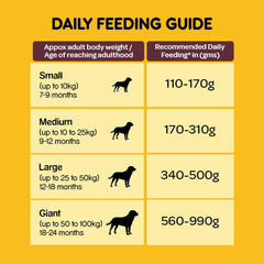 Pedigree Meat & Rice Adult Dog Dry Food.