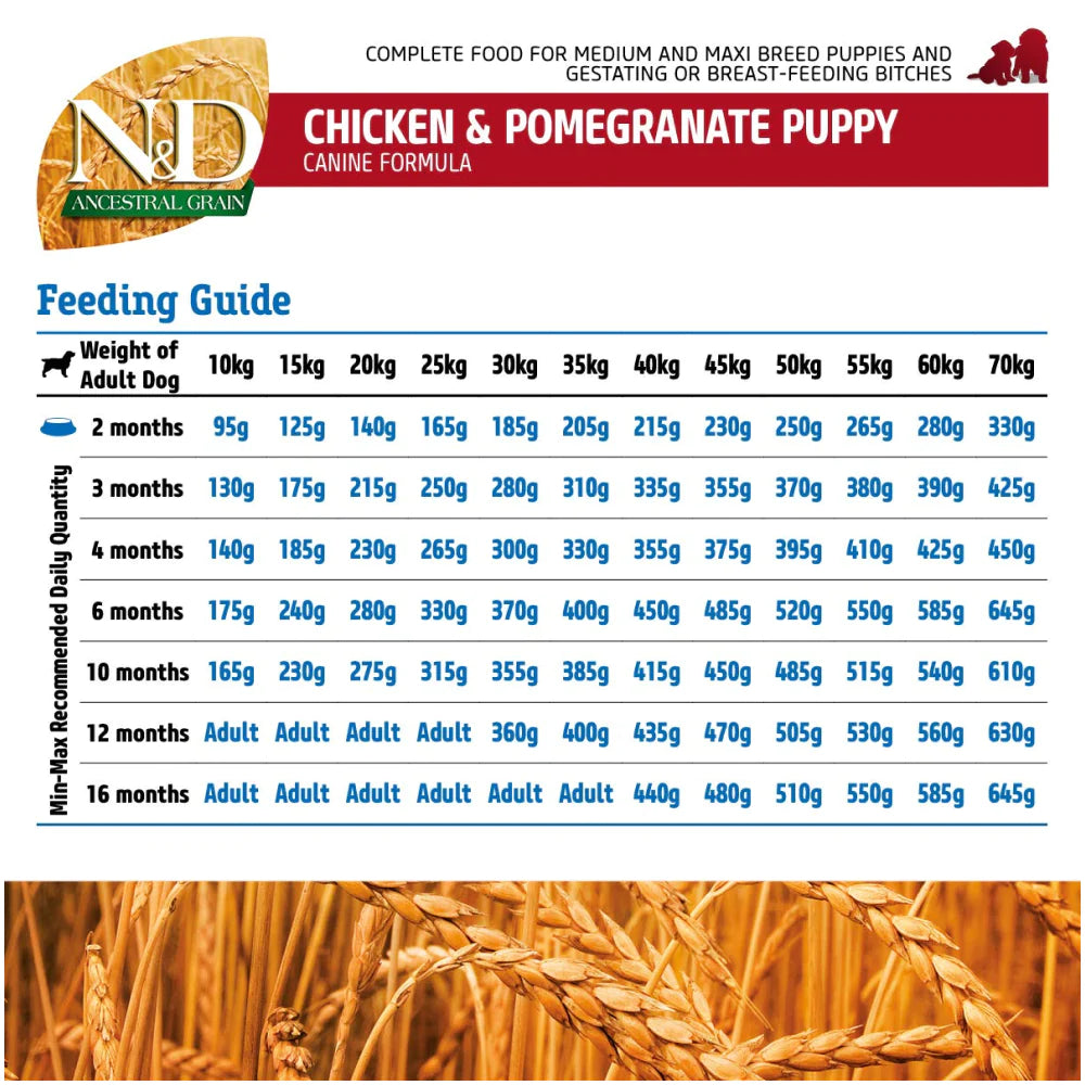 Farmina N&D Ancestral Grain Chicken and Pomegranate Dry Food Puppy Medium and Maxi Breed.