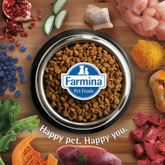 Farmina N&D Lamb, Quinoa, Broccoli and Asparagus Weight Management Grain Free Adult Dry Dog Food.