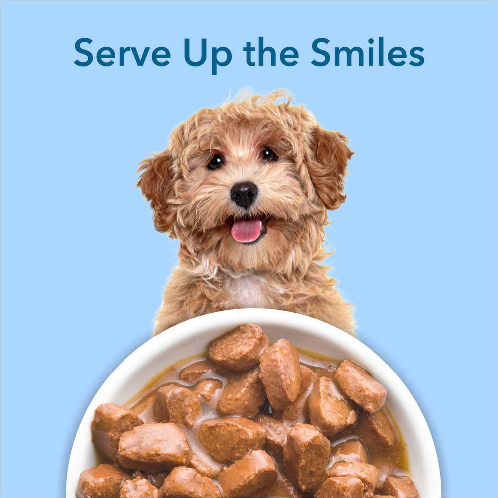 Purepet Gravy Chunks Wet Dog Food – Chicken & Vegetable Flavour, 70 g.