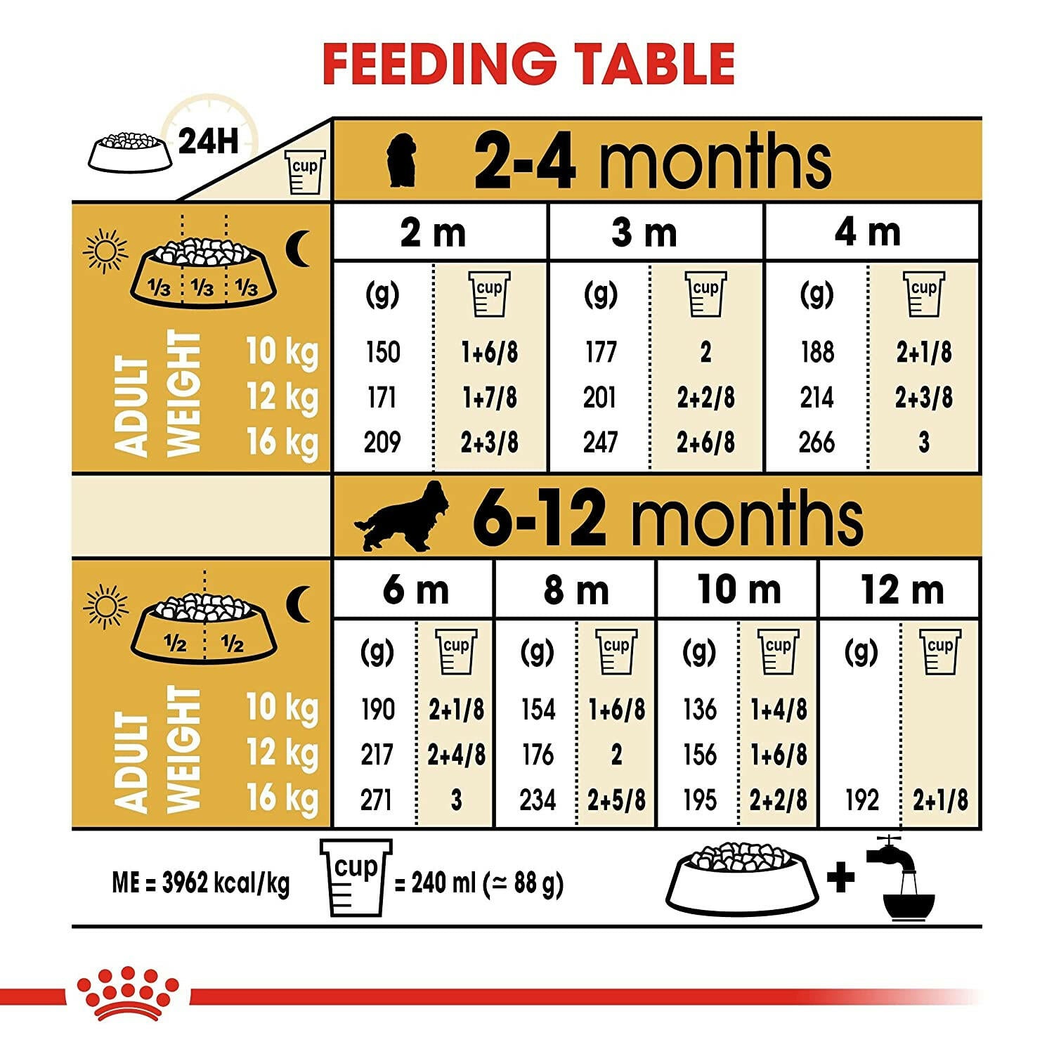 Dog Food for Cocker Spaniel Puppies with Omega Fatty Acids