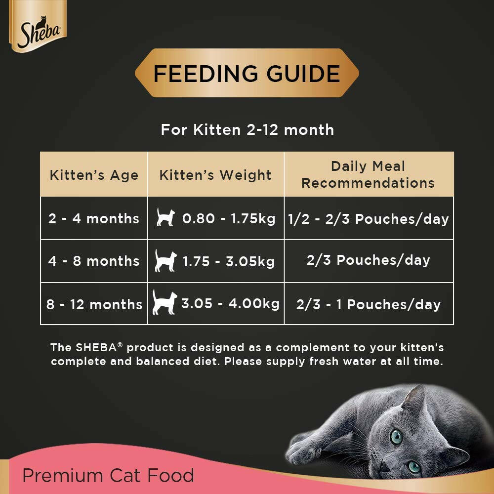 Kitten food, good ingredients