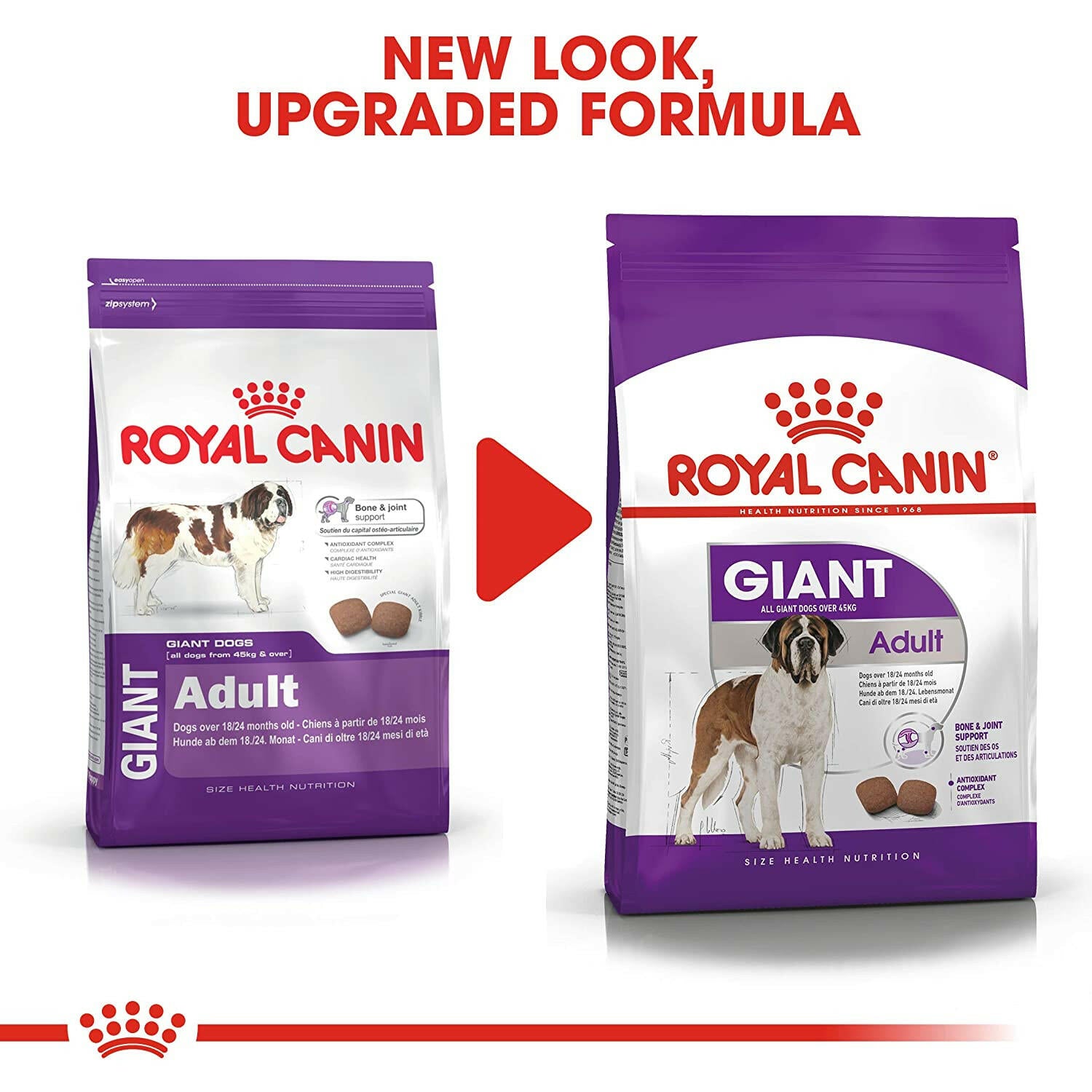 Nutritional support for dogs with big appetites.