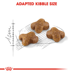 Royal Canin Second Age Kitten Dry Food.