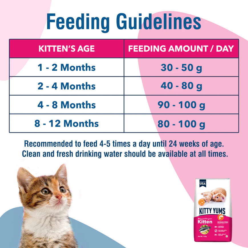 Kitty Yums Kitten Ocean Fish Food.
