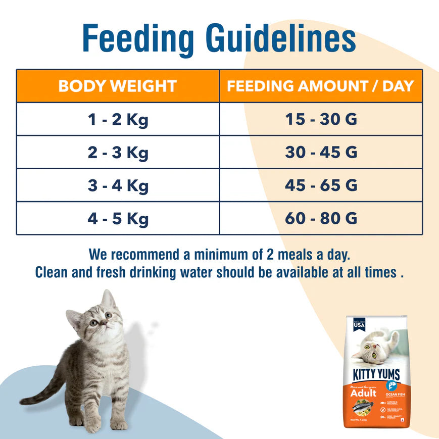 Kitty Yums Ocean Fish Adult Cat Food.
