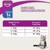 Whiskas Skin & Coat Adult Dry Food, Chicken & Salmon for Cats.
