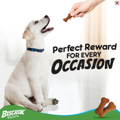 Pedigree Biscrok Dog Biscuit, Chicken Flavour – 500g.