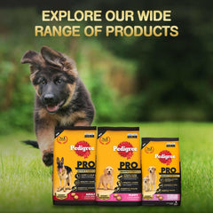 Pedigree PRO Small Breed Starter Dry Food for Pregnant & Lactating Dogs — 3 to 12 Weeks.