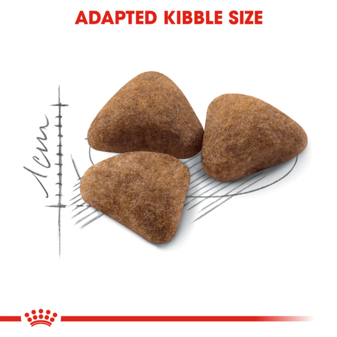 Royal Canin Indoor Adult Dry Cat Food.