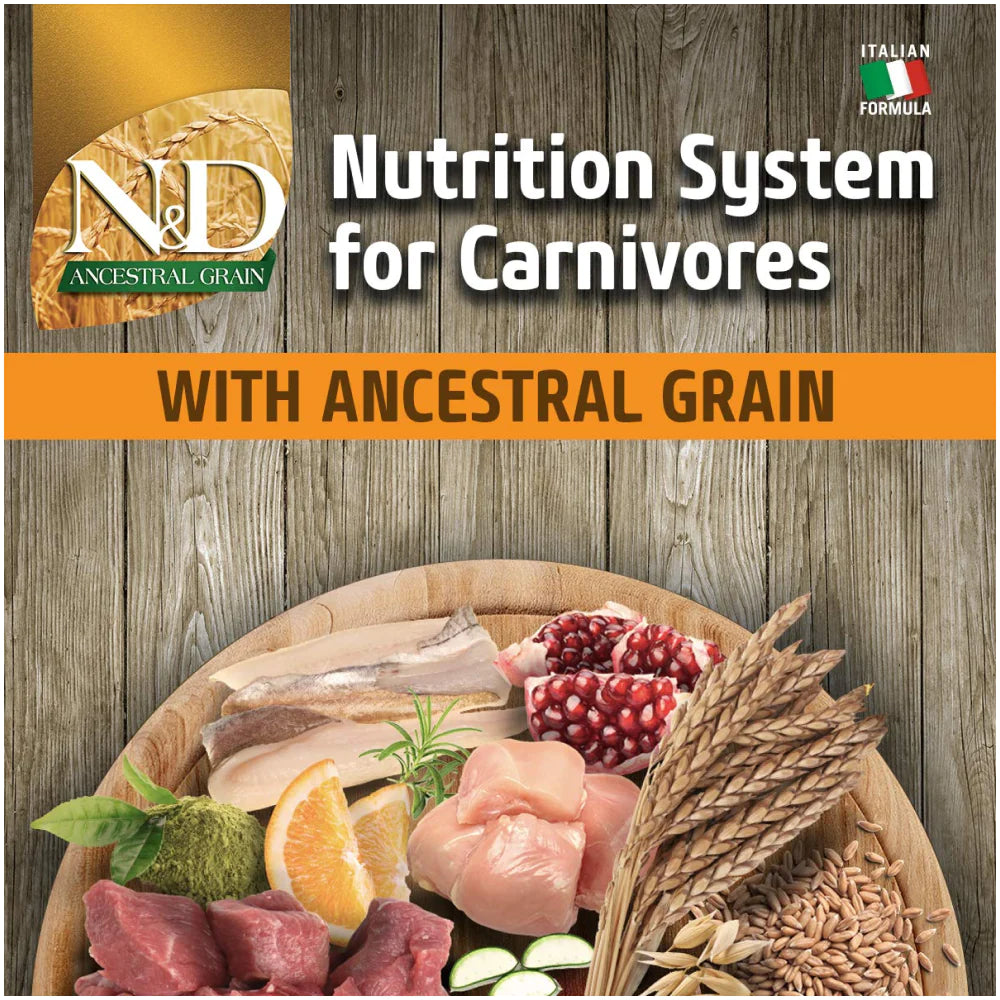 Farmina N&D Ancestral Grain Chicken and Pomegranate Dry Food Puppy Medium and Maxi Breed.