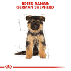 Royal Canin German Shepherd Puppy Dog Food.