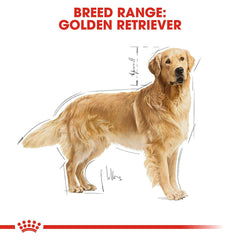 Royal Canin Golden Retriever Adult Dog Food.