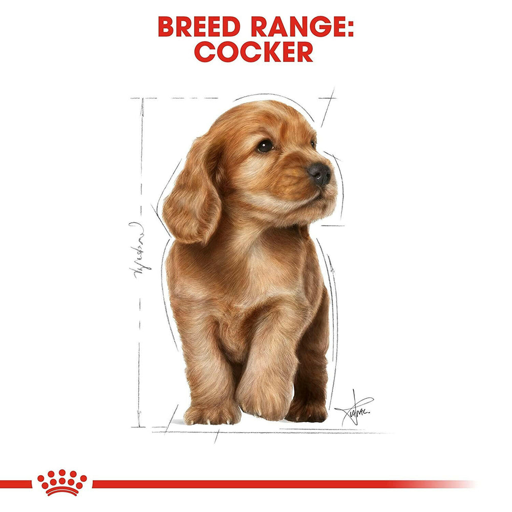 Royal Canin Cocker Spaniel Puppy Dog Food – 3kg.