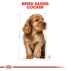Royal Canin Cocker Spaniel Puppy Dog Food – 3kg.