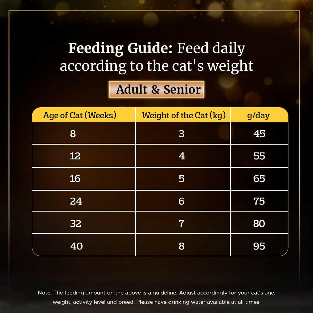 Sheba Salmon Flavour Dry Cat Food – All Life Stages.