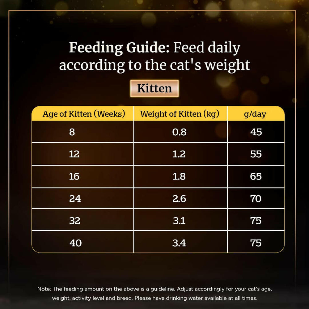 Sheba Salmon Flavour Dry Cat Food – All Life Stages.