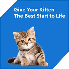 Drools Ocean Fish Kitten Cat Food.