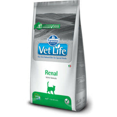 Renal diet cat food
