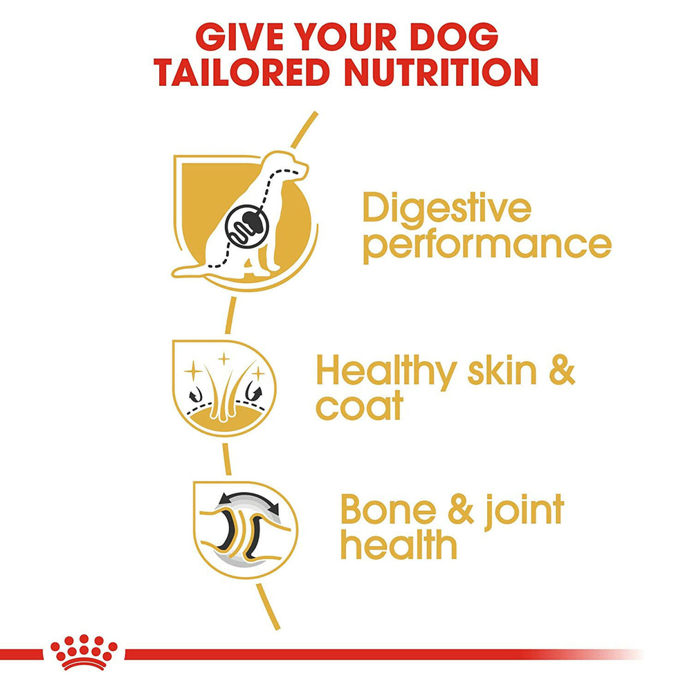 Royal Canin German Shepherd Adult Dog Food.