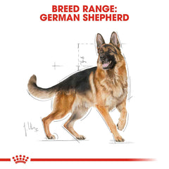 Royal Canin German Shepherd Adult Dog Food.