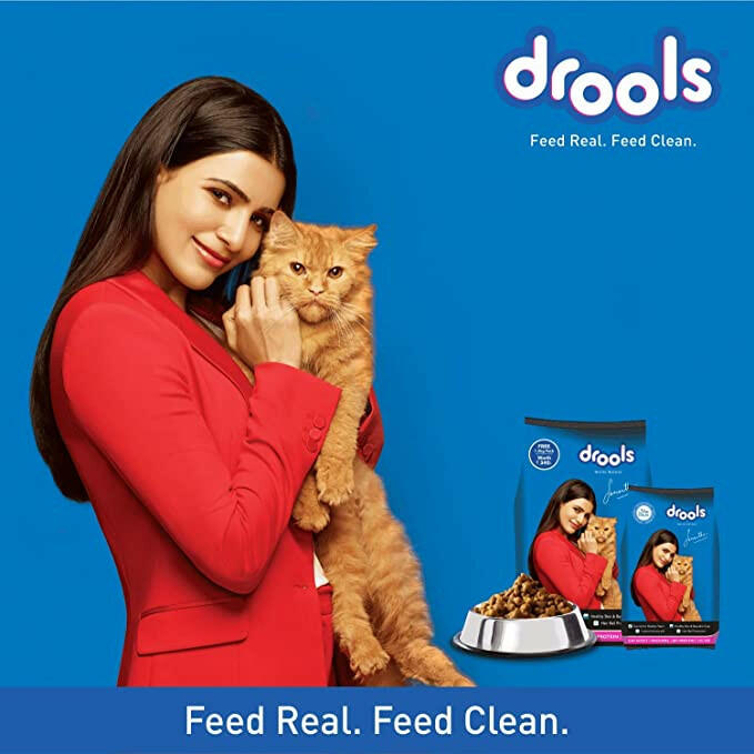 Drools Mackerel Adult Cat Food.