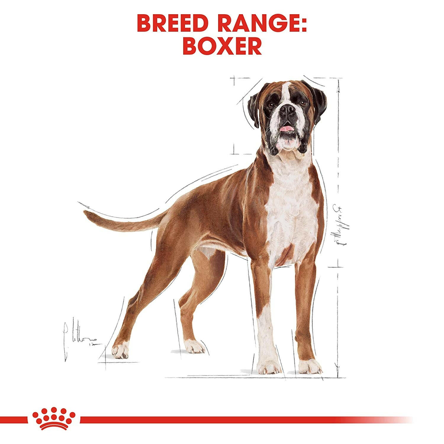 Royal Canin Boxer Adult Dry Dog Food.