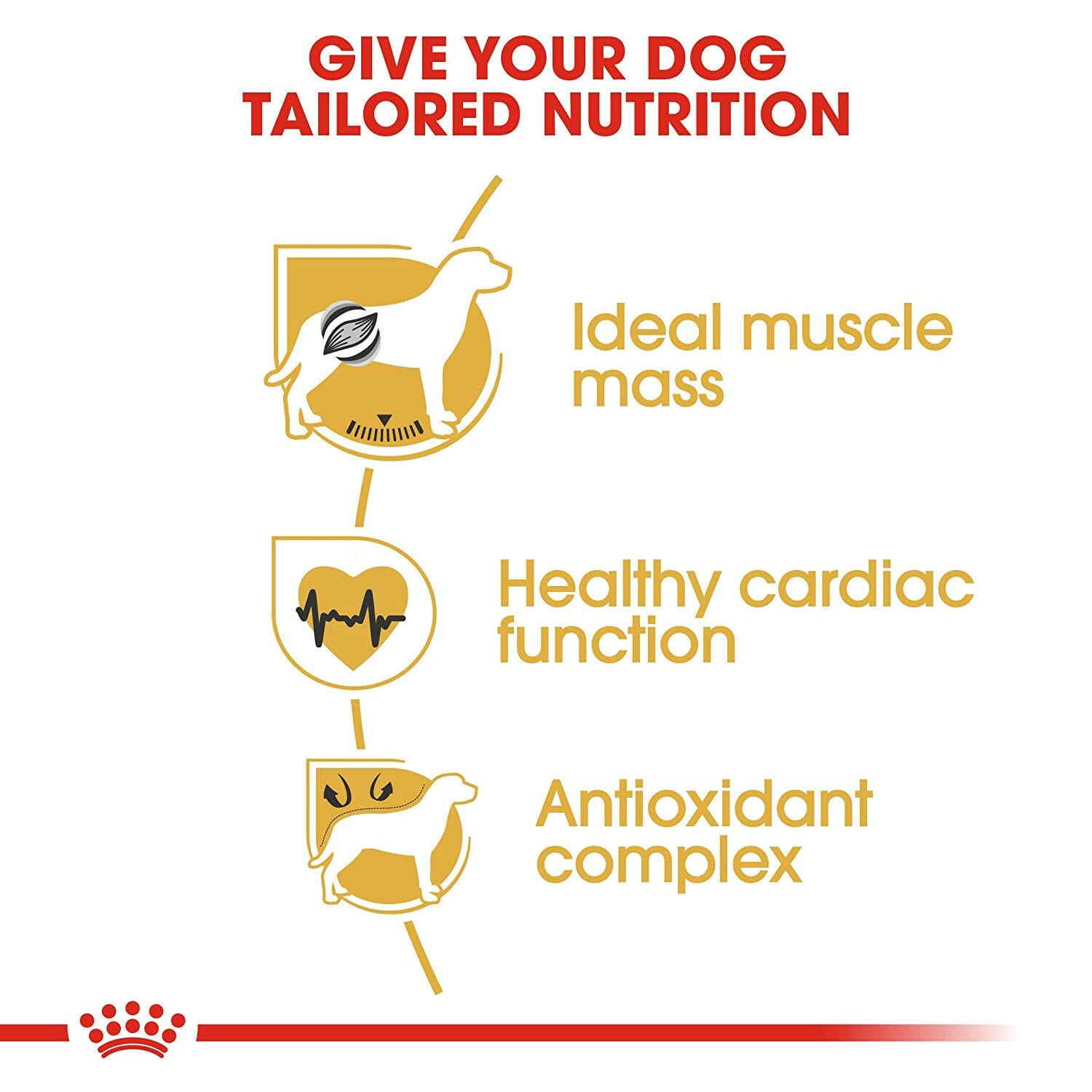 Royal Canin Boxer Adult Dry Dog Food.