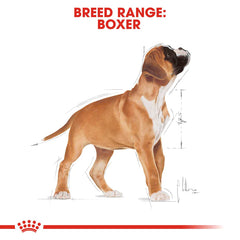 Royal Canin Boxer Puppy Dog Food.
