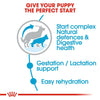 Royal Canin Maxi Starter Dog Food.