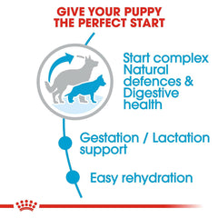 Royal Canin Maxi Starter Dog Food.