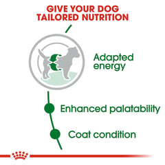 Royal Canin Mini Adult Dry Dog Food.