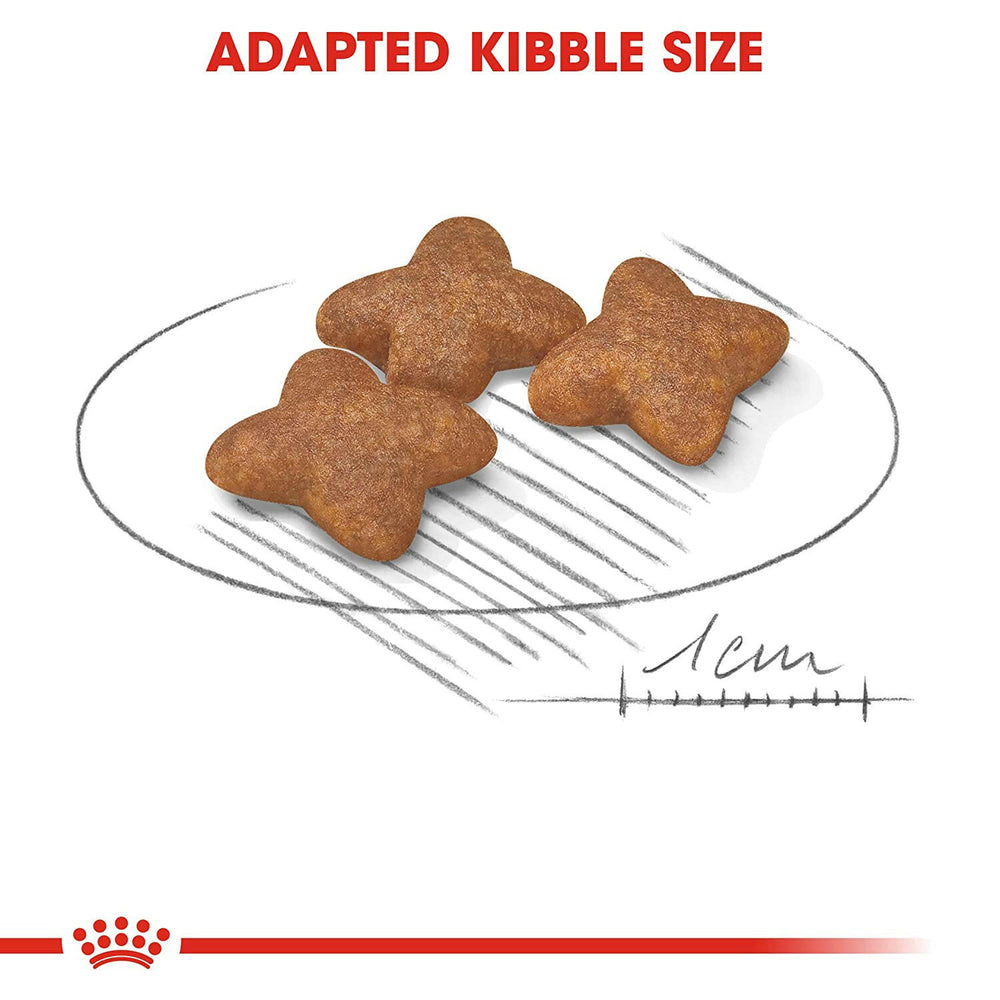Royal Canin Mini Adult Dry Dog Food.