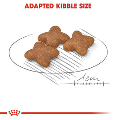 Royal Canin Mini Adult Dry Dog Food.