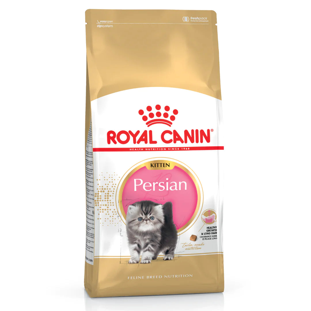 Fresh kitten food
