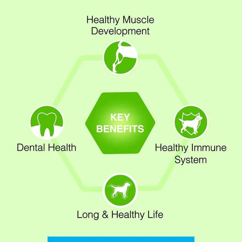 Canine Creek Adult Dry Dog Food - dspetstore.com