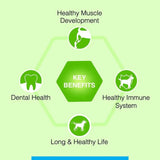 Canine Creek Adult Dry Dog Food - dspetstore.com