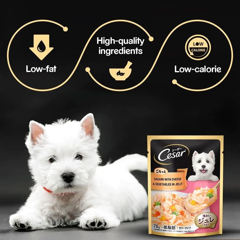 Cesar Wet Dog Food Sasami with Cheese & Vegetables in Jelly - dspetstore.com