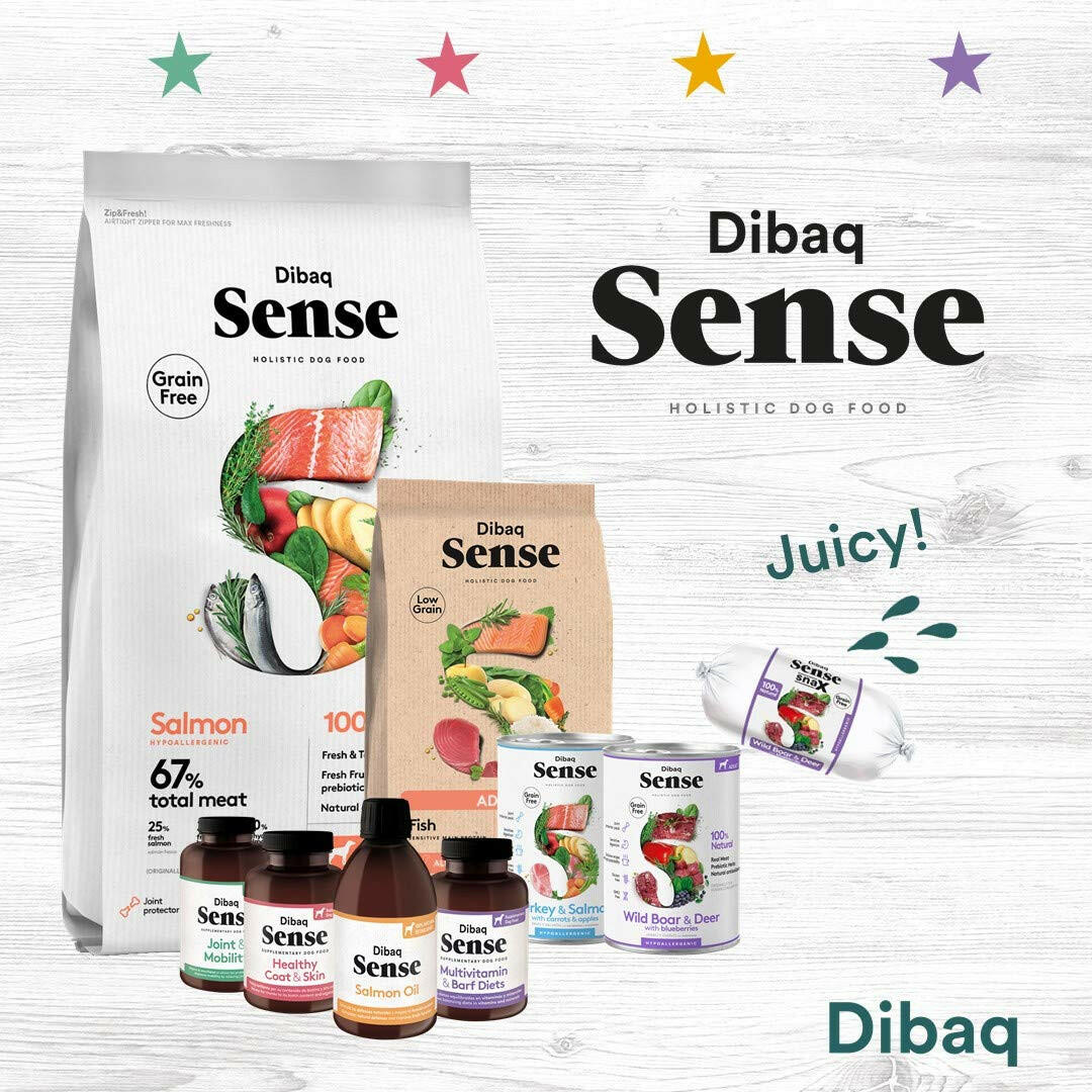Healthy grain free salmon adult dog food by Dibaq.