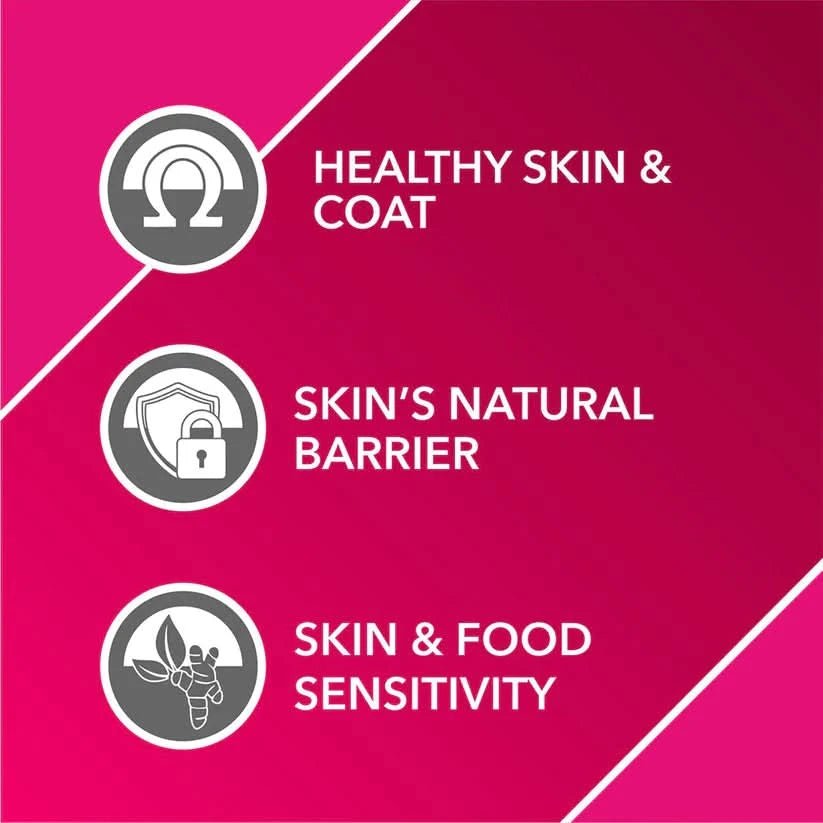 Drools Absolute Skin & Coat Supplement for Dogs - dspetstore.com