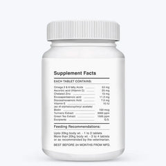 Drools Absolute Skin & Coat Supplement for Dogs - dspetstore.com